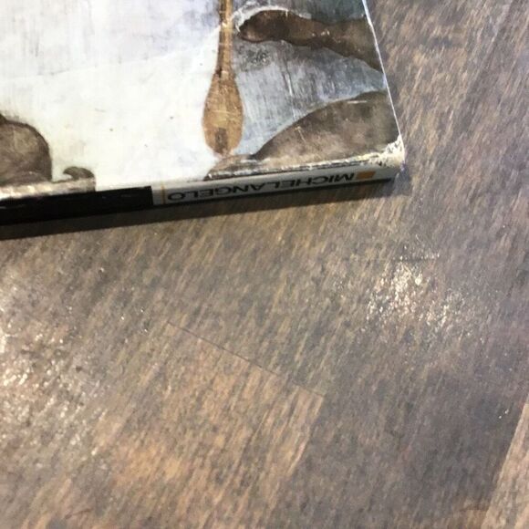 The complete Works of Michelangelo Vatican, edition - Picture 4 of 12